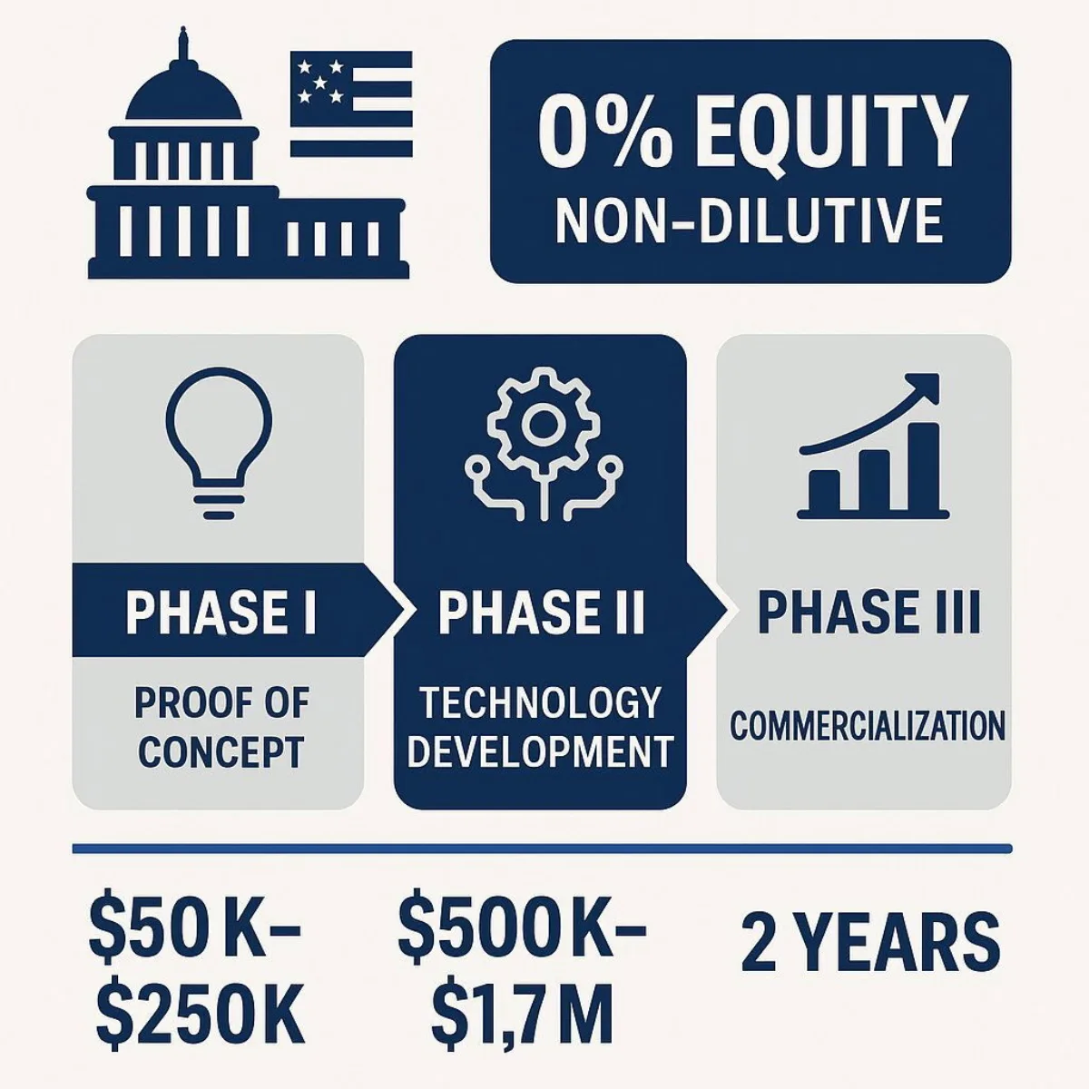 Government Grants Process Visual