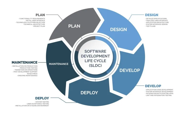 What services does a software development company provide?
