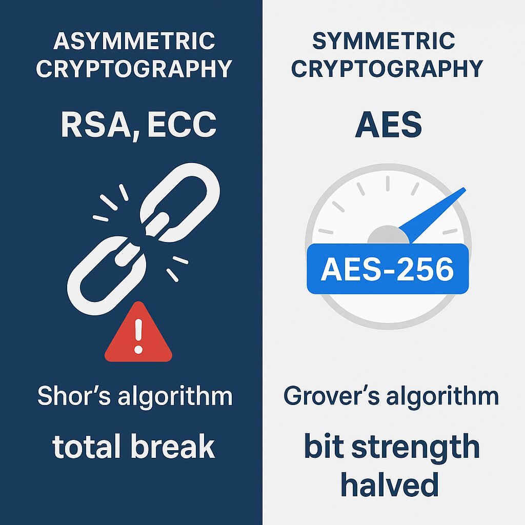 Infographic: Bifurcated Quantum Risk – Asymmetric vs. Symmetric